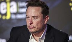 Współpracownik Muska dostarczał usługi techniczne grupie cyberprzestępców