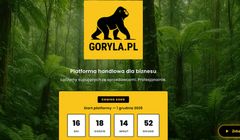 Republika wchodzi w e-commerce. Eksperci: Goryla na razie bez treści i strategii