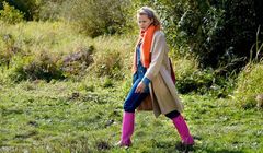 Serial Polsatu wrócił na antenę. Ilu widzów ogląda "Komisarz Mama"?