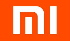 Xiaomi z rosnącymi przychodami, zysk w górę o 20 proc. Ponad 32 mln sprzedanych smartfonów