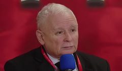 PiS zatrudni gwiazdy TVP? Kaczyński chce mediów dużo większych niż te Sakiewicza
