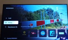 Prawie 20 polskich kanałów za darmo w streamingu. W ofercie m.in. stacja sportowa