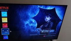 Tylko Netflix próbuje ukrócić dzielenie kont? Szef Playera mówi o „walce z wiatrakami”