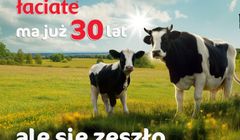 Mleko Łaciate ma 30 lat. Jubileuszowa kampania z użyciem AI