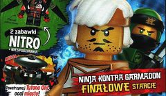 „Świat LEGO. Lego Ninjago. Masters of Spinjitzu” liderem sprzedaży. „Scooby - Doo!” zyskało najwięcej