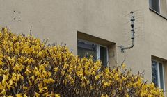 Ruszyły rynkowe testy nowego standardu telewizji DVB-I