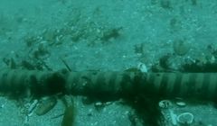 Nowy światłowód od Mety dłuższy od równika. Połączy kilka kontynentów