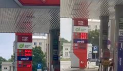 Podczas konferencji szefa PSL zmalały ceny na stacji Orlenu, pojawiła się rzeczniczka firmy