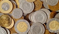 Na wyłudzeniach VAT budżet traci 30-50 mld zł rocznie