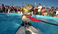 TOP10 reklam na YouTube: Always, Coca-Cola, GoPro, iPhone (wideo)