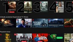Netflix dalej rośnie w Polsce. Player, Prime Video i WP Pilot straciły użytkowników