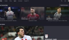 Canal+ może wydać 0,5 mld zł za udziały w Viaplay