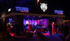 Creative Brand Stories wspiera markę Tiger Energy Drink na letnich wydarzeniach
