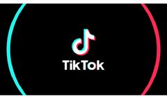 Były minister finansów USA tworzy grupę inwestorów chcących kupić TikToka