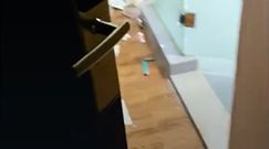 Mieszkał w hotelu przez miesiąc. Straszne, co po sobie zostawił