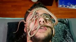 Masaż wężami. Nowa przerażająca usługa SPA