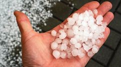 Pogoda na najbliższe dni. IMGW: burze i grad zmierzają nad Polskę