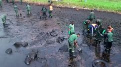 Katastrofa ekologiczna na Mauritiusie. Masowiec osiadł na mieliźnie