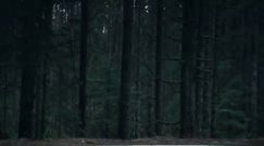 Alan Wake