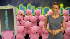 Plotkarnia: Gwiazdy Disco Polo