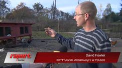 Wilcze oczy, odblaski, elektronika