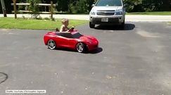Dwuletni mistrz driftu