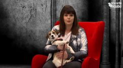 Karolina Korwin-Piotrowska: "Zakażmy w Polsce hodowli zwierząt futerkowych!" 