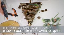 Choinka inna niż wszystkie