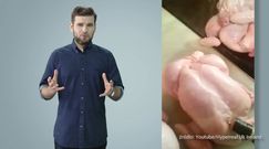 Zatrważające wyniki kontroli żywności. Spożywamy zanieczyszczoną żywność