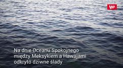 Tajemnicze ślady na dnie oceanu