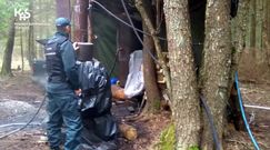 Akcja służb w lesie na Podlasiu. "Nowa fabryka"