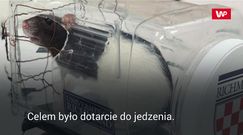 Cała prawda o kierowcach. Wyniki wyjątkowego eksperymentu