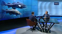 Połów dorsza, armatorzy chcą 150 mln zł.  Minister: nierealne