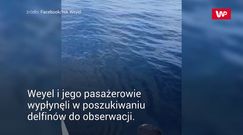 Spotkanie z morskim gigantem. Ekscytacja w sieci