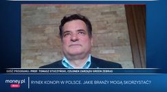 Program Money.pl 25.01 | Polska branża konopi szybko się rozwija. "Mamy swoje 5 minut"