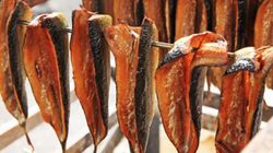 Alergia na ryby i owoce morza - przyczyny, objawy, rtęć w rybach