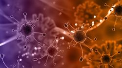 Infekcja grzybicza a bakteryjna 