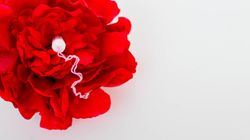 Dlaczego kobiety krwawią podczas miesiączki?