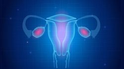 Progesteron - funkcje, normy, interpretacja wyników