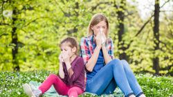 Leki na alergię - przeciwzapalne, antyhistaminowe, rozszerzające oskrzela