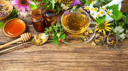 Pokrzywa indyjska - zastosowanie i właściwości