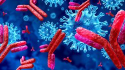 Immunoglobuliny igG - charakterystyka, badanie, interpretacja wyników