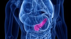 Lipaza - działanie, przebieg, normy, interpretacja