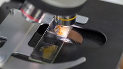 Pierwotniaki jelitowe - jakie wywołują objawy i choroby? Jak się leczyć?