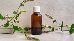 Mentol - działanie, właściwości, zastosowanie i szkodliwość