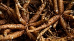 Sprawdzono, czy wpływa na odchudzanie. Wnioski są jednoznaczne