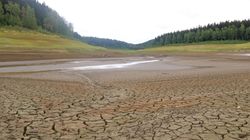 Sprawdź, jak suche powietrze wpływa na alergię