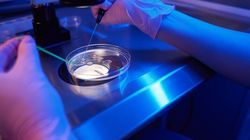 7 tajemnic żeńskiej komórki jajowej, które cię zaskoczą