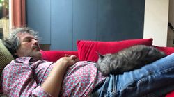 Drzemki pod lupą naukowców. Zbyt częste i długie mogą skracać życie