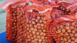 Najlepszy pokarm dla serca. Bogactwo magnezu i potasu